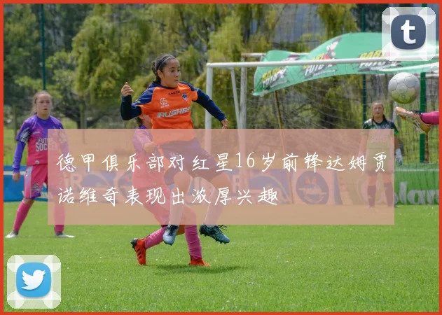 德甲俱乐部对红星16岁前锋达姆贾诺维奇表现出浓厚兴趣