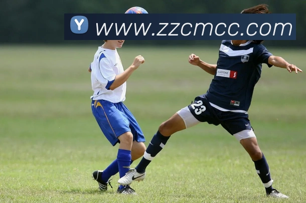 米兰官网入口发展历程